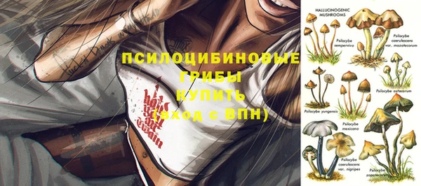 мяу мяу мука Зерноград
