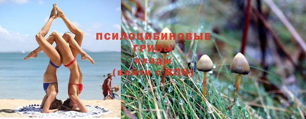мяу мяу мука Зерноград
